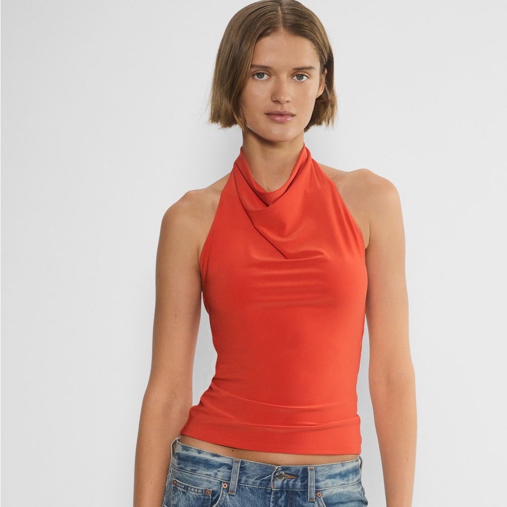 Aritzia Top